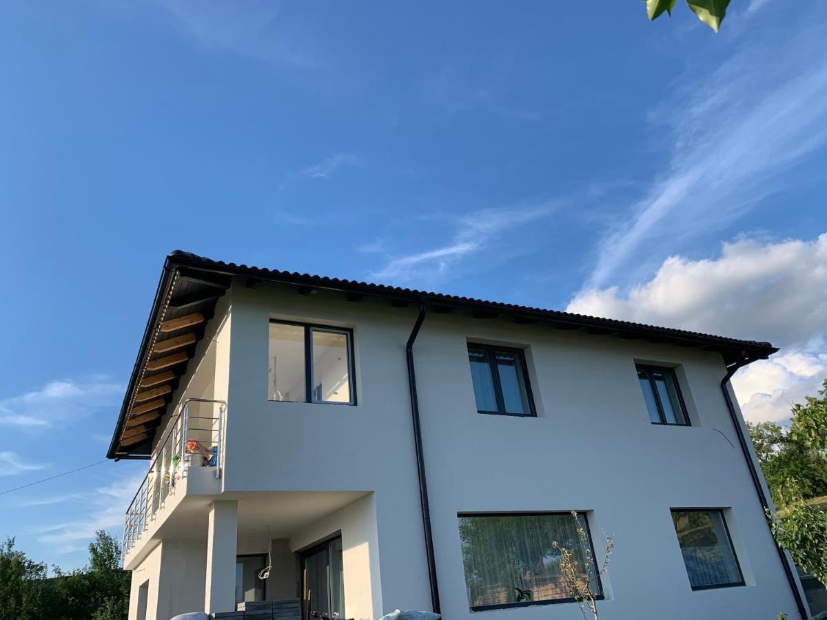 Villa Viktoria House Odorheiu Secuiesc Esterno foto
