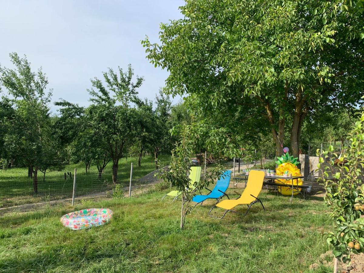 Villa Viktoria House Odorheiu Secuiesc Esterno foto