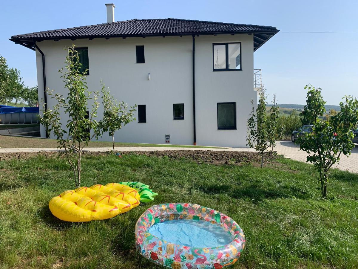 Villa Viktoria House Odorheiu Secuiesc Esterno foto
