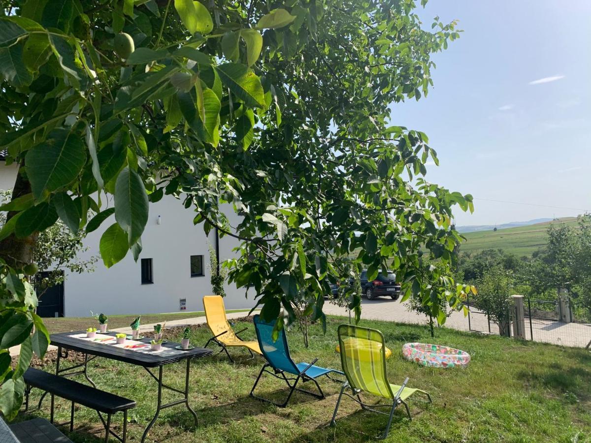 Villa Viktoria House Odorheiu Secuiesc Esterno foto