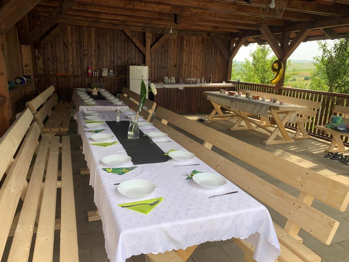 Villa Viktoria House Odorheiu Secuiesc Esterno foto