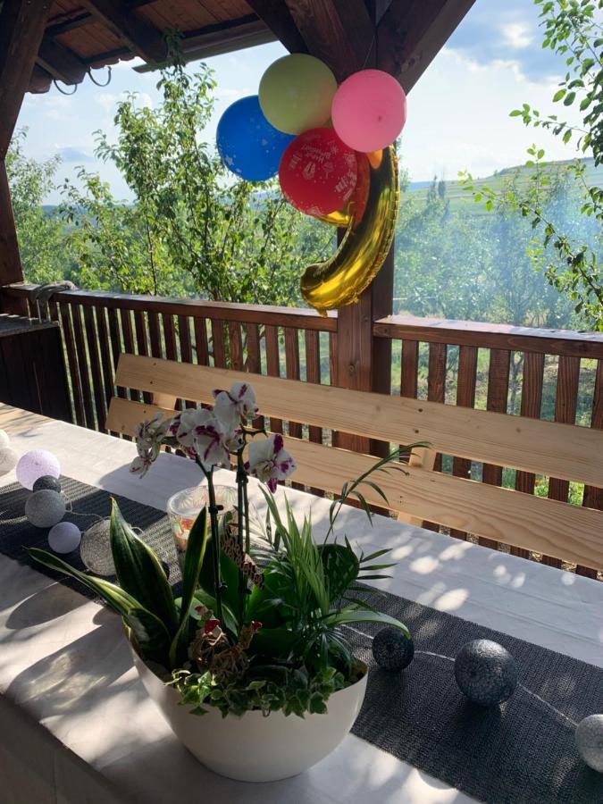 Villa Viktoria House Odorheiu Secuiesc Esterno foto