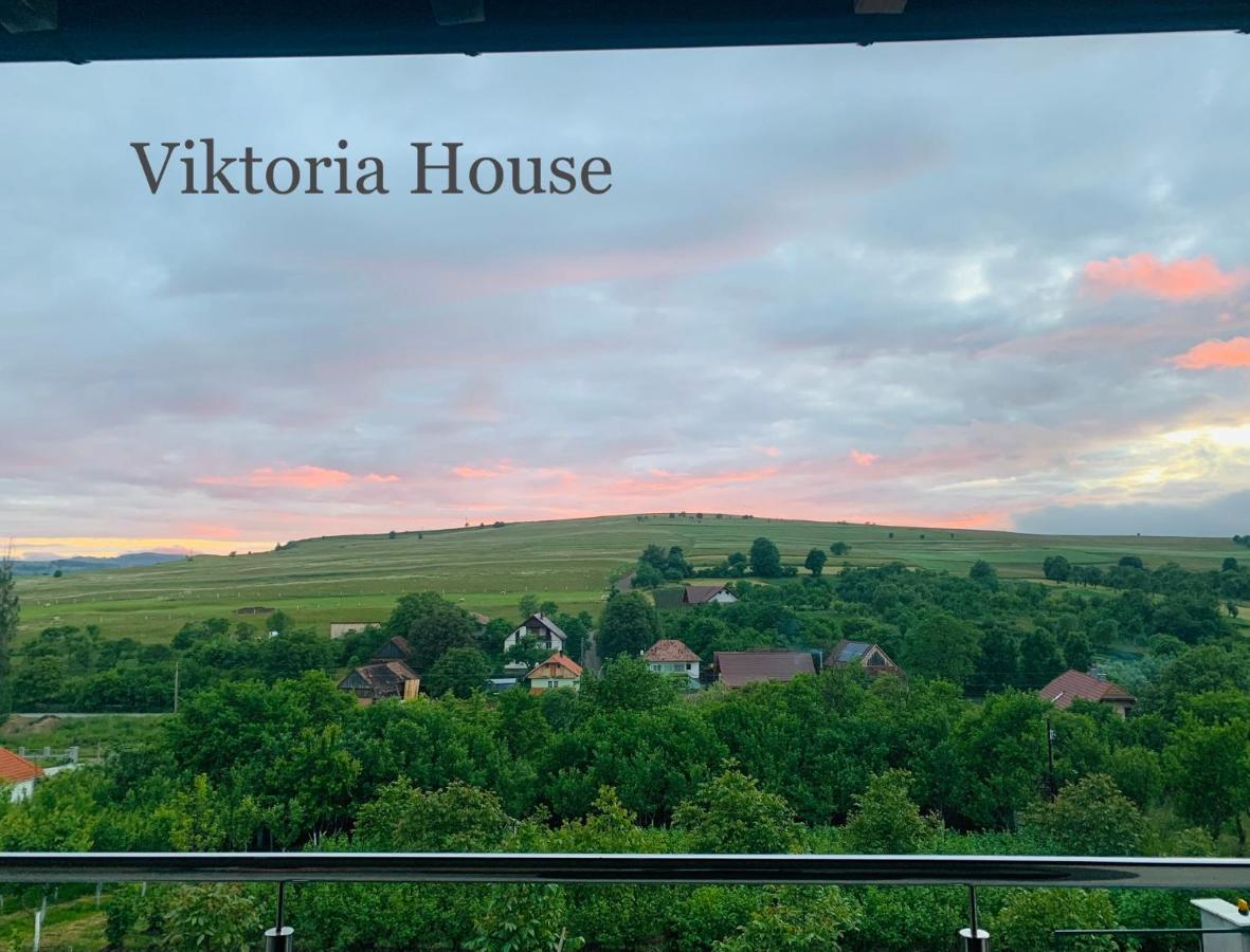 Villa Viktoria House Odorheiu Secuiesc Esterno foto