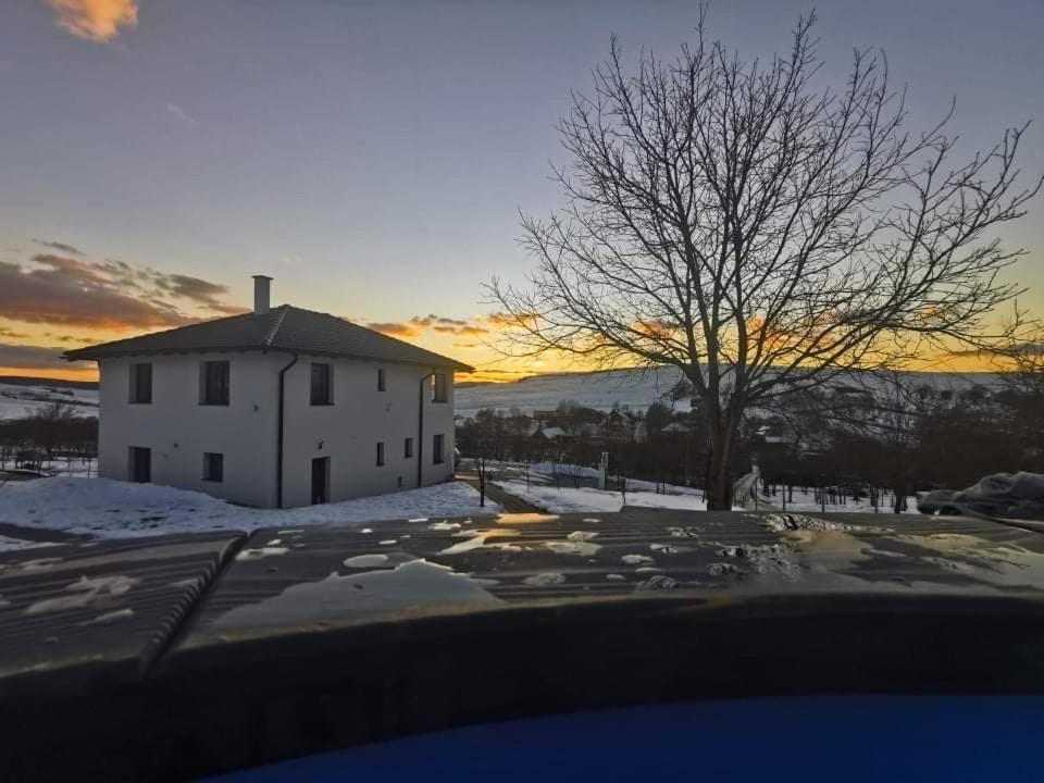 Villa Viktoria House Odorheiu Secuiesc Esterno foto
