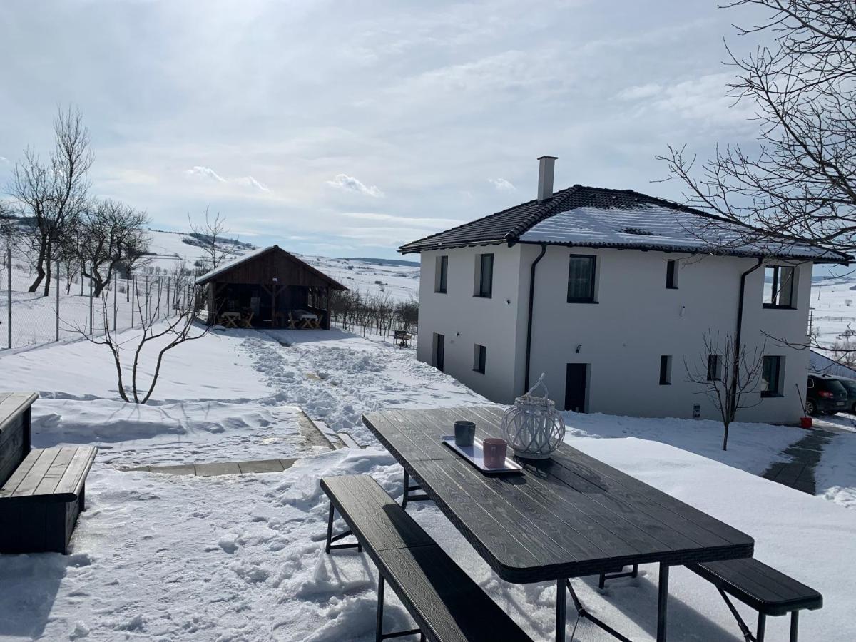 Villa Viktoria House Odorheiu Secuiesc Esterno foto