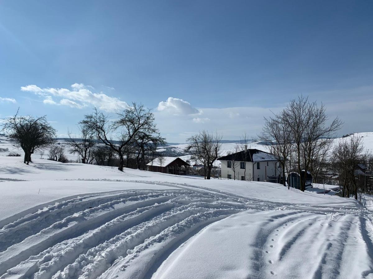 Villa Viktoria House Odorheiu Secuiesc Esterno foto
