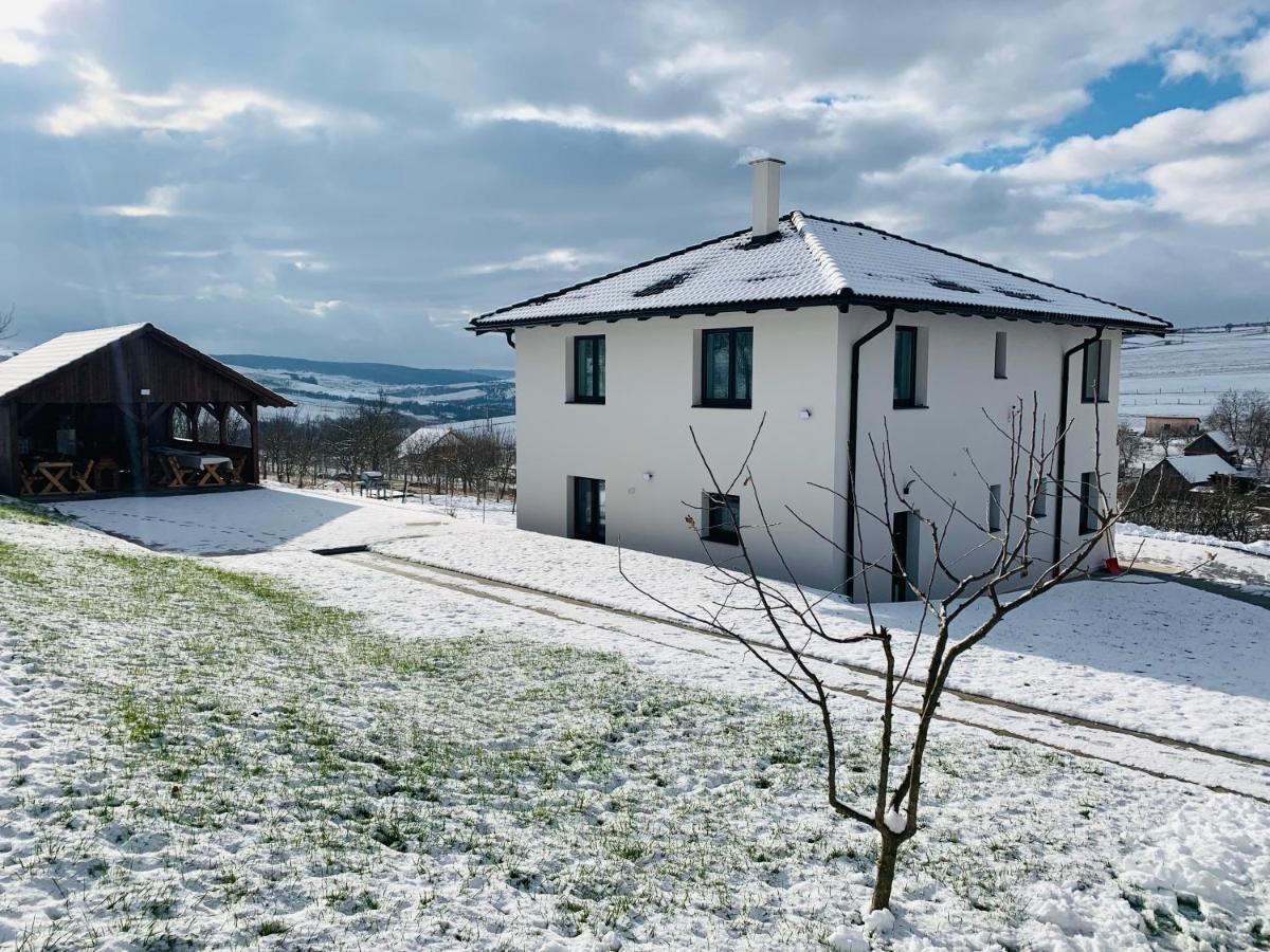 Villa Viktoria House Odorheiu Secuiesc Esterno foto